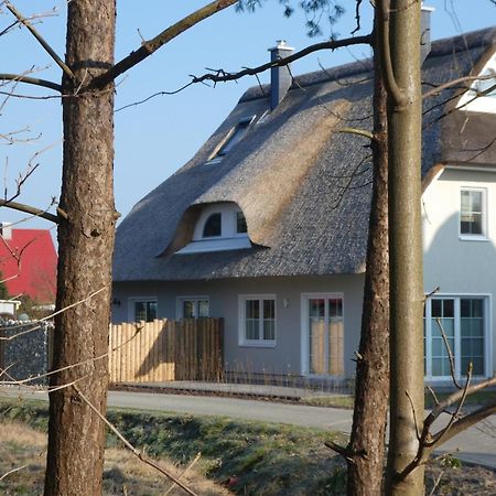 Kleine Seenixe Zingst Kültér fotó